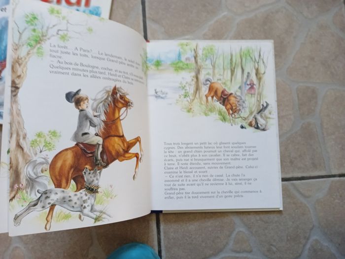 2 livres heidi - photo numéro 4