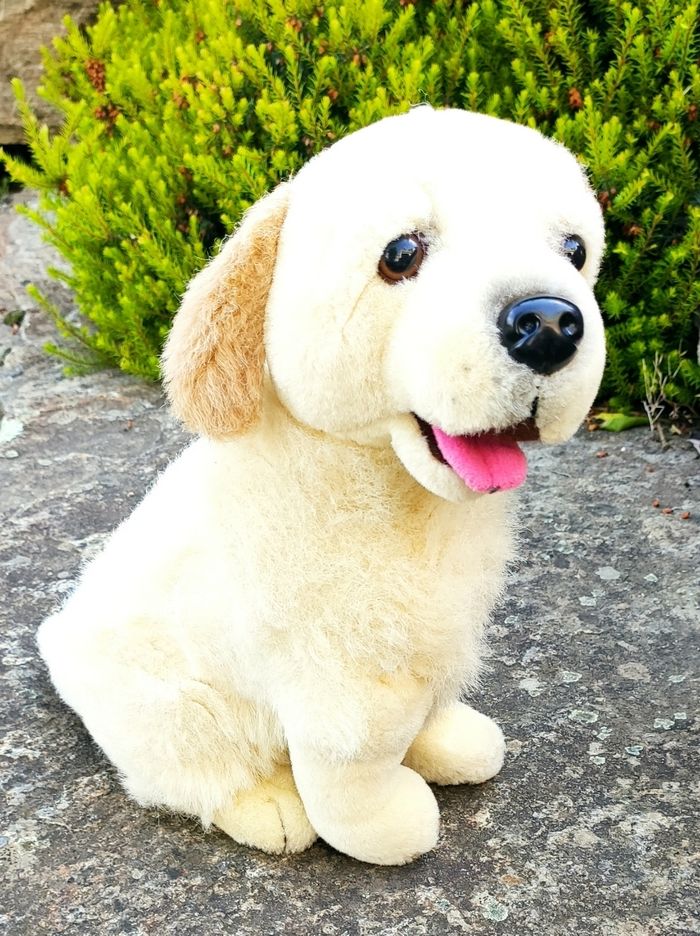 Chien en peluche - photo numéro 4