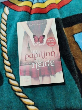 Un papillon sous la neige