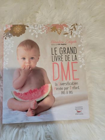 Le grand livre de la DME