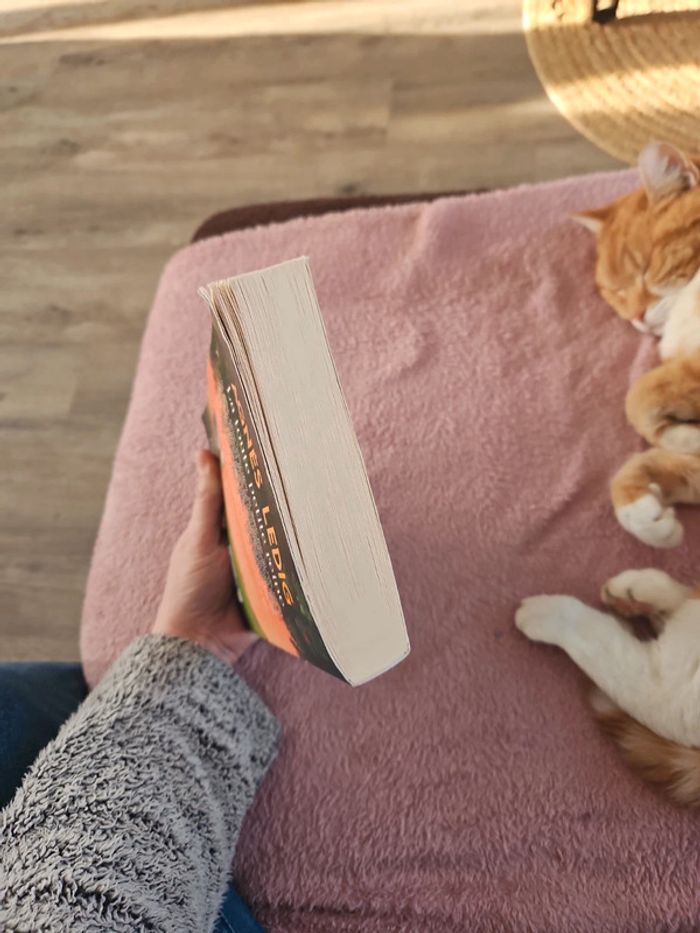 Livre - photo numéro 7