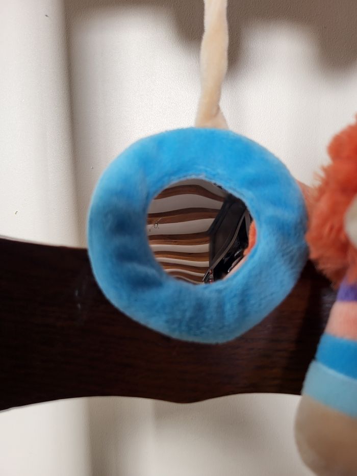 Spirale d'activité chien Doukidou - photo numéro 4