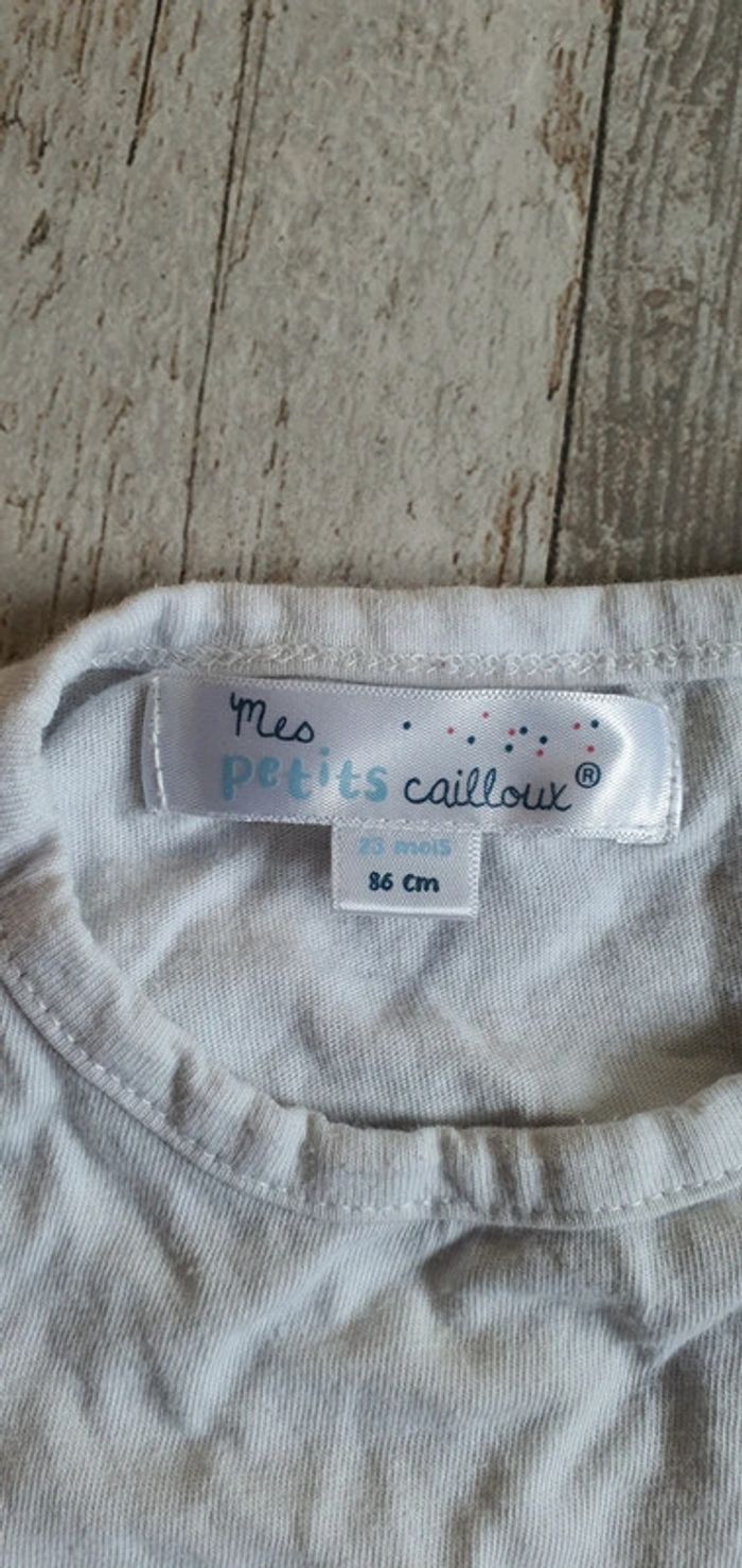 Tshirt mes petits Cailloux 2 ans en très bon état - photo numéro 3