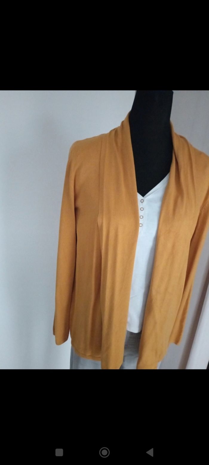 Gilet moutarde - photo numéro 2