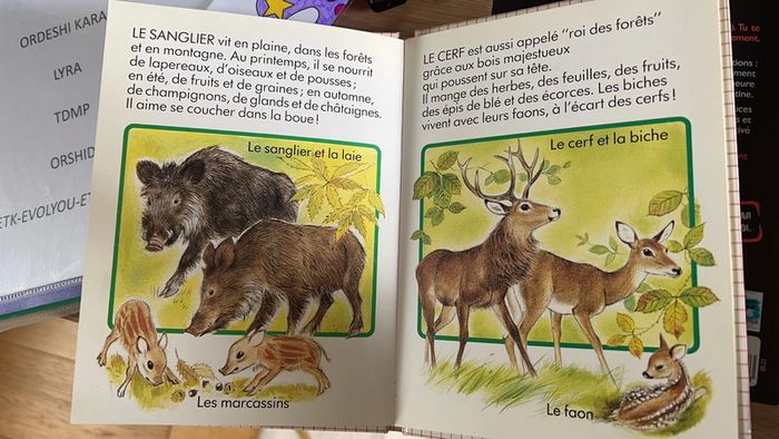 Je découvre les animaux de la forêt - photo numéro 3
