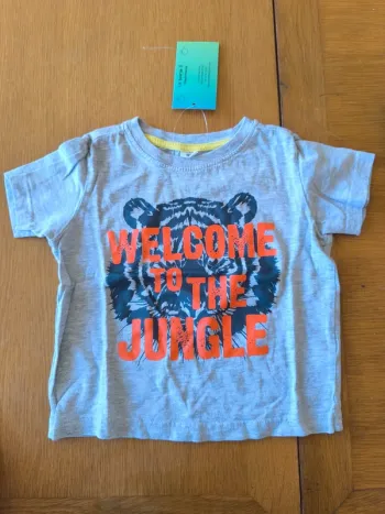 315110 Tee-shirt MC gris garçon 3 ans