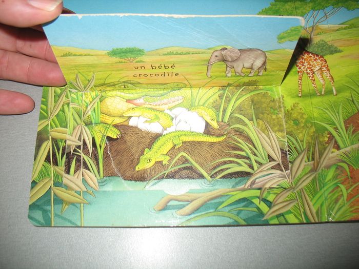 LIVRE : C'EST COMMENT DANS LES ŒUFS "ÉDITIONS FLEURUS" - n°25 - photo numéro 3