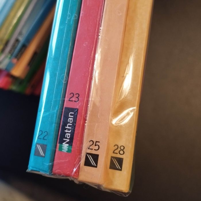 Lot de 4 Livres enfant Nathan T'choupi - photo numéro 6