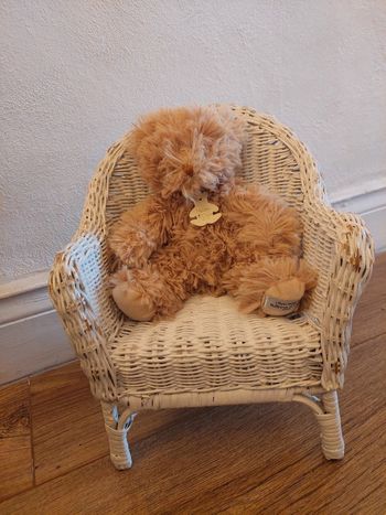 Ourson vintage Histoire d'ours