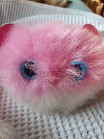 Chien poésies bubblegum rose