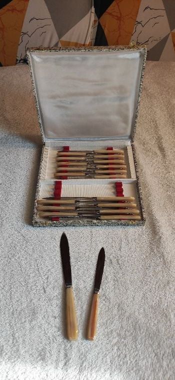 Coffret couteaux inox