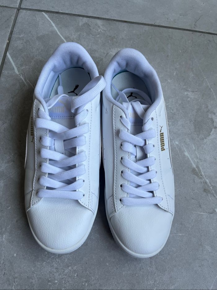Basket puma