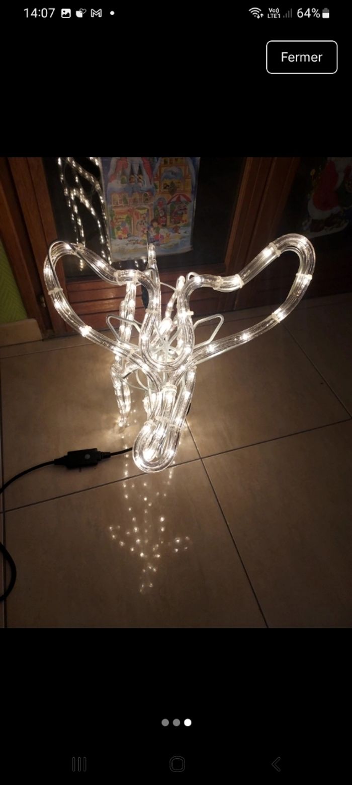 Cerf lumineux - photo numéro 3