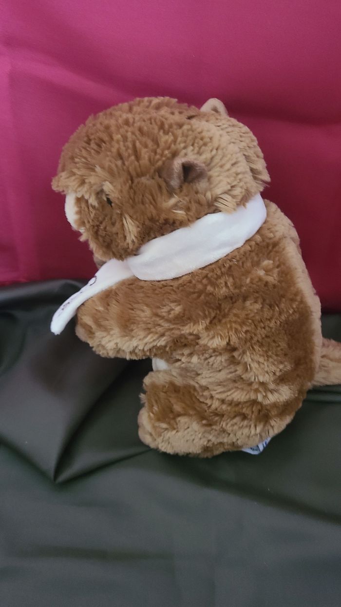 Peluche marmotte CREATIONS DANI Castor écharpe - photo numéro 4