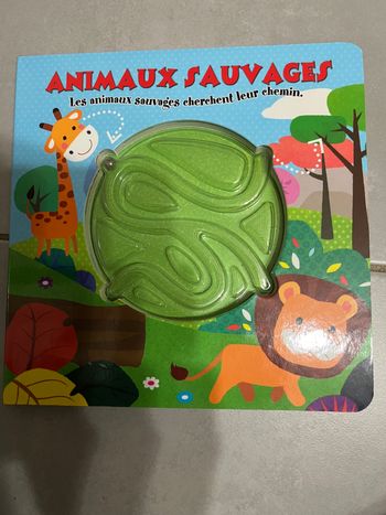 Livre labyrinthe