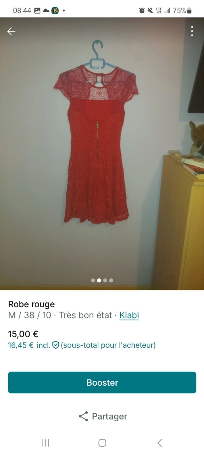 Robe - photo numéro 2