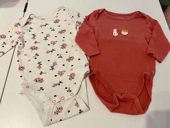 Bodies 6 mois