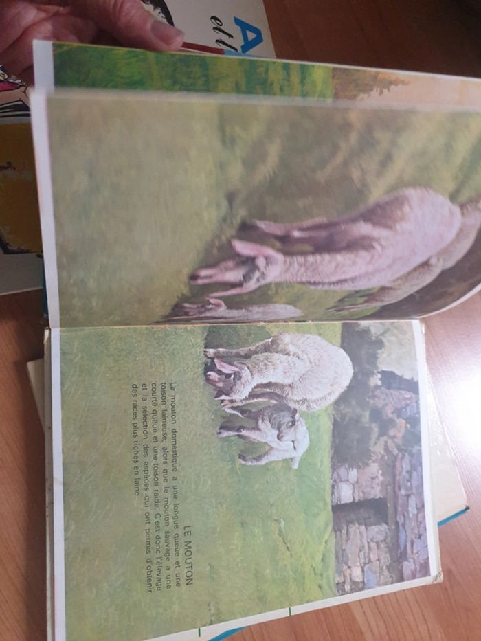 Lot de livres - photo numéro 5