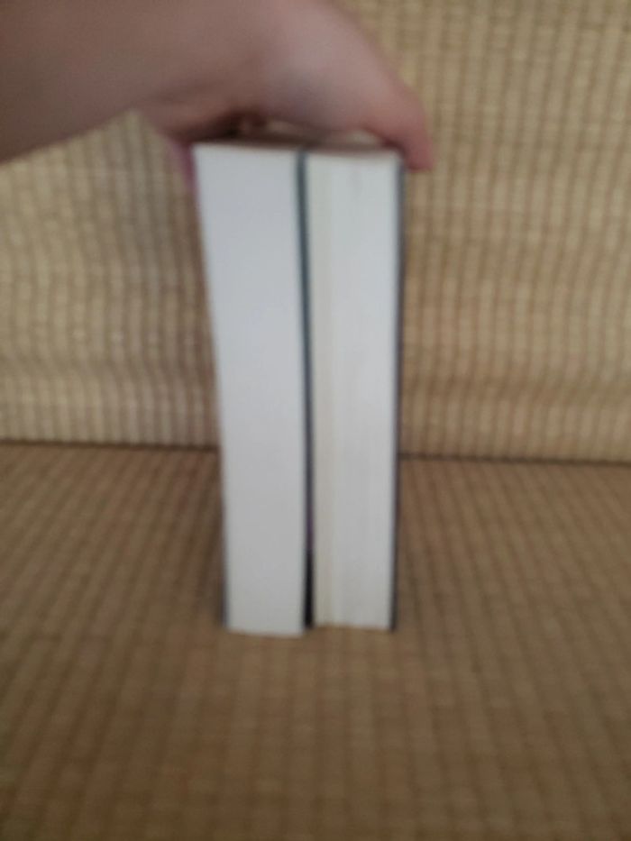 2 livres le pays des contes - photo numéro 5