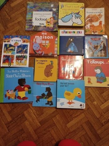 Lot de 13 livres