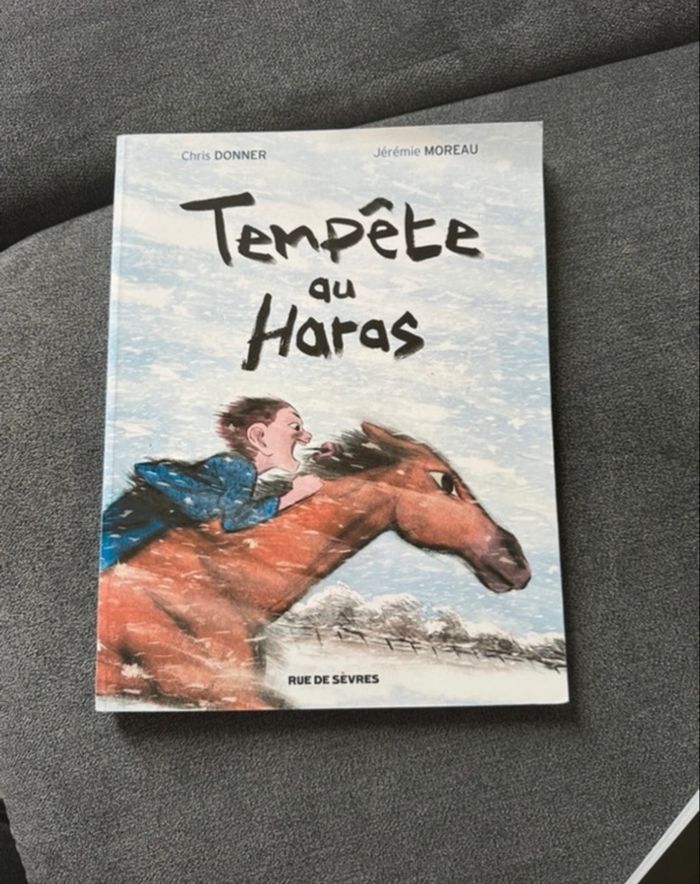 Livre enfant « Tempête au Haras »