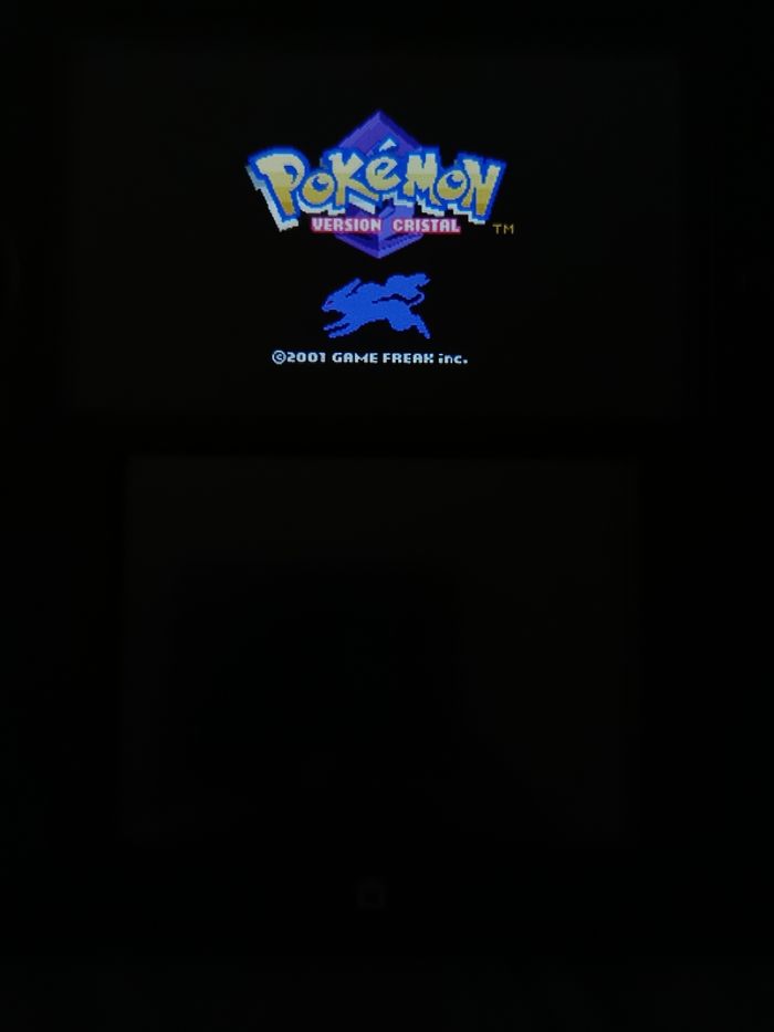 R4 pour ds / 2ds / 3ds - photo numéro 4