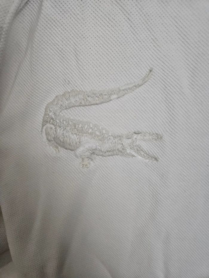 Polo Lacoste - photo numéro 4