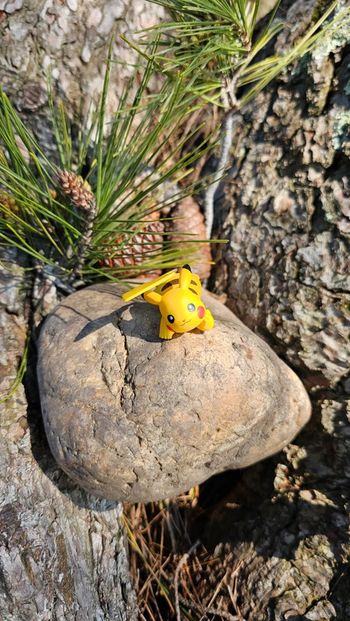 Super figurine Pokemon Nintendo tomy pikachu