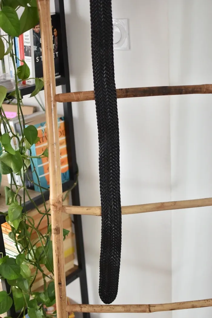 Ceinture Noire - photo numéro 4