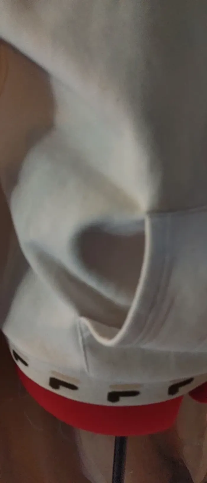 Sweat fila - photo numéro 3