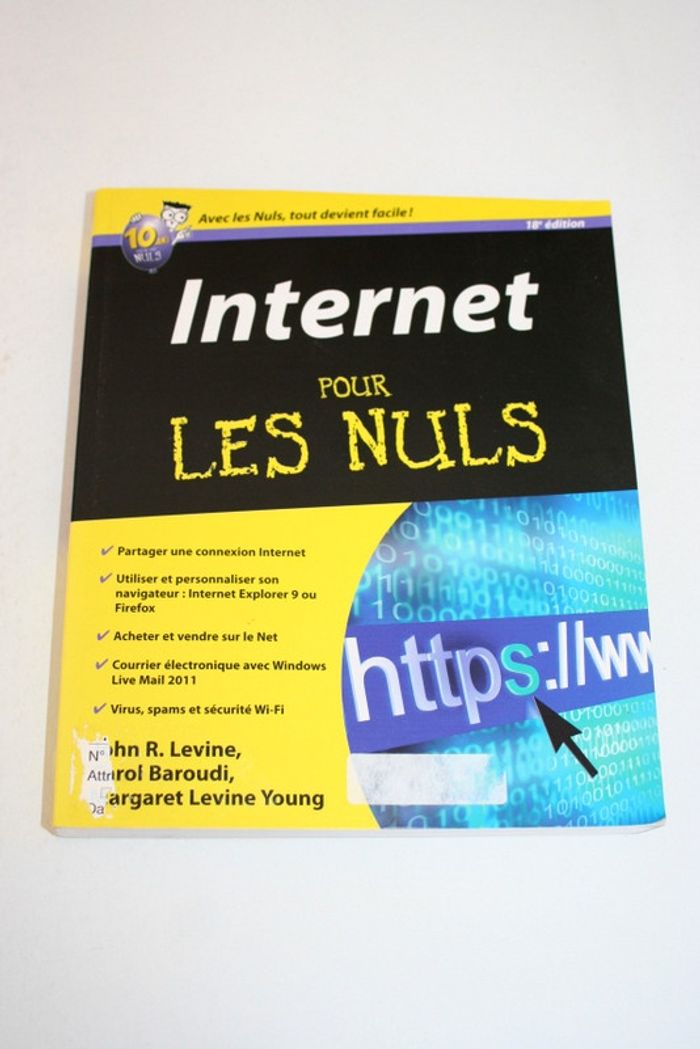 Internet pour les Nuls, First Editions