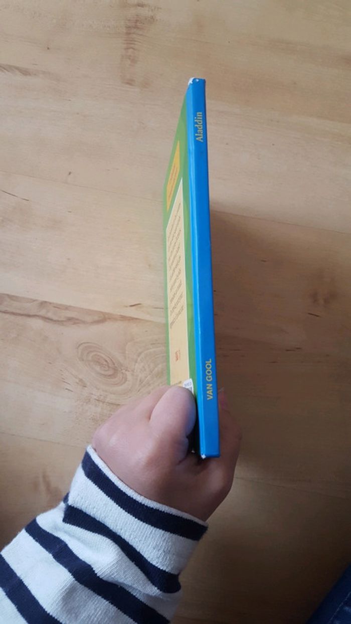 Livre aladin - photo numéro 5