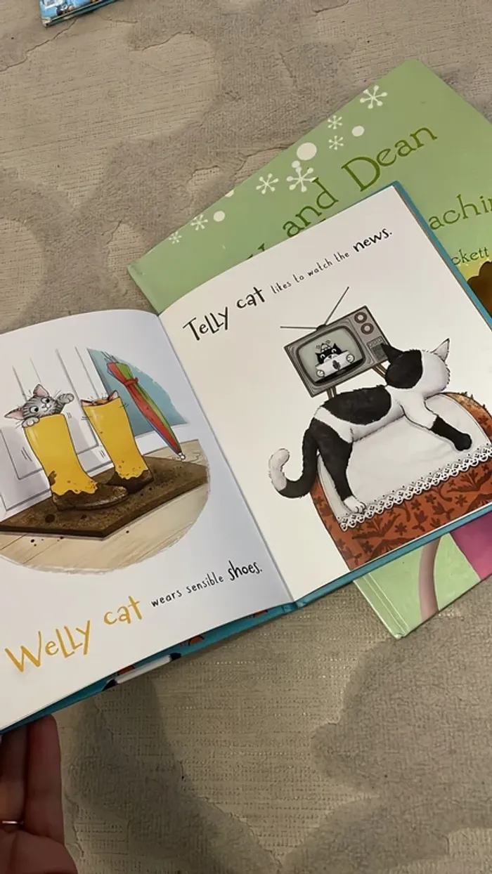 Lot de livres enfants anglais - photo numéro 4