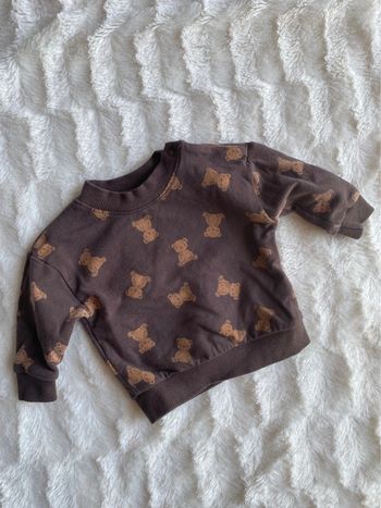Pull ourson zeeman