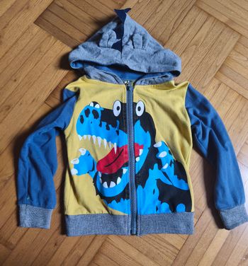 veste dinosaure