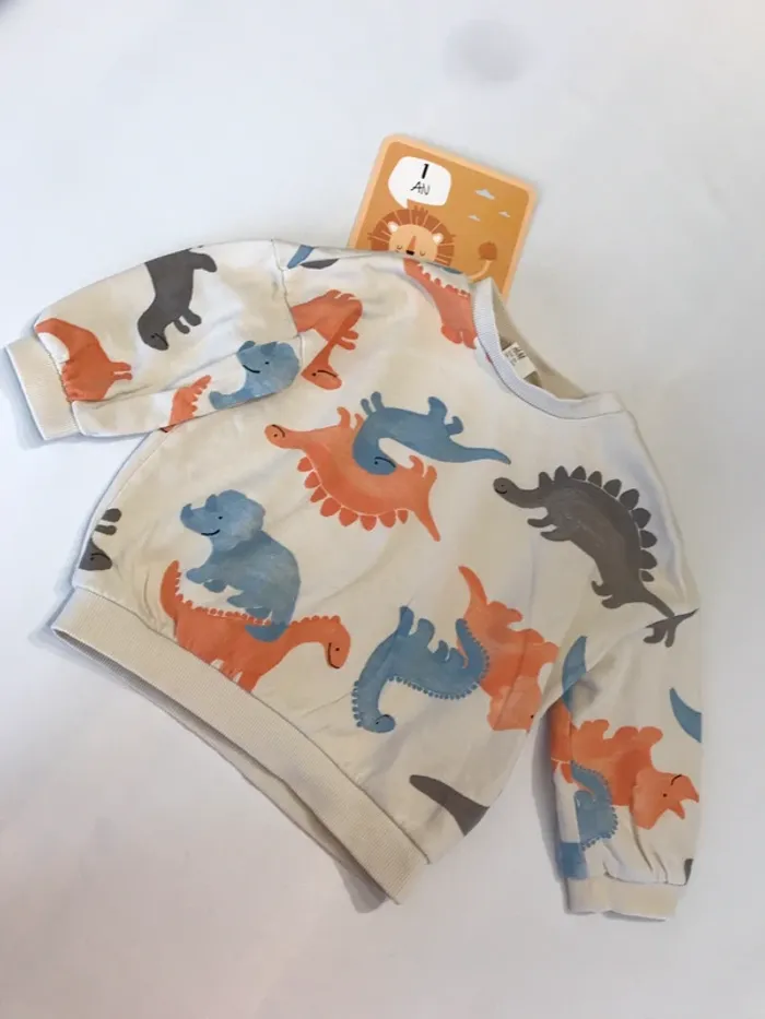 Pull dinosaure