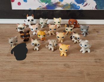 Petshop