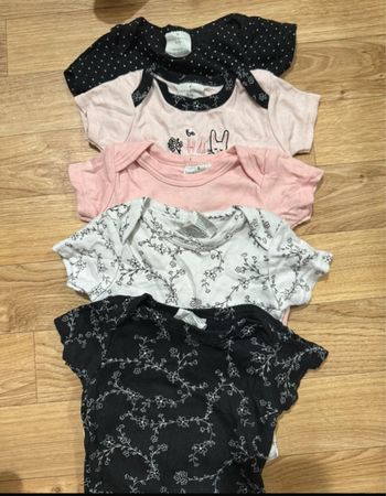 5 body manches courtes