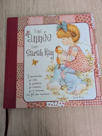 Livre une année avec Sarah Kay