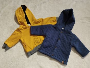 2 vestes a capuche