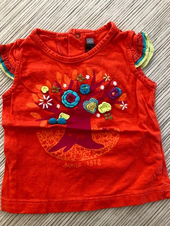 T shirt catimini 6 m