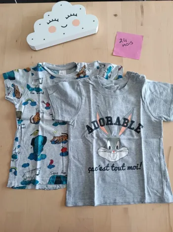 Lot de 2 t-shirts manches courtes 24 mois