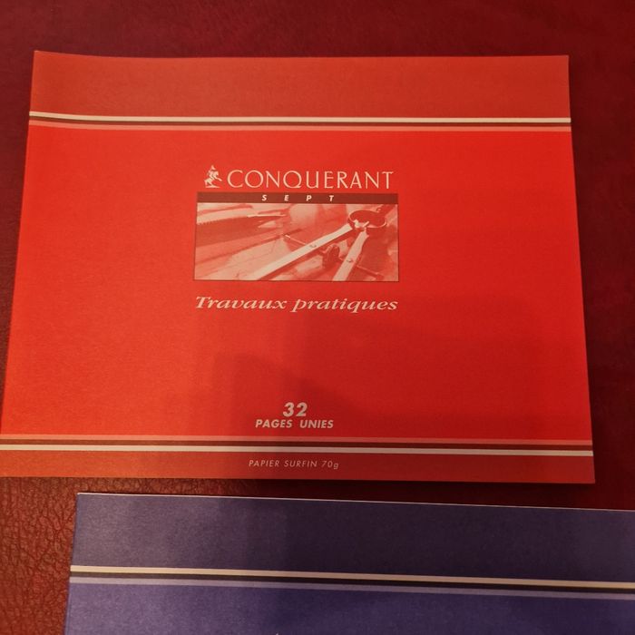 Lot 3 cahiers dessin/ travaux pratiques - photo numéro 2