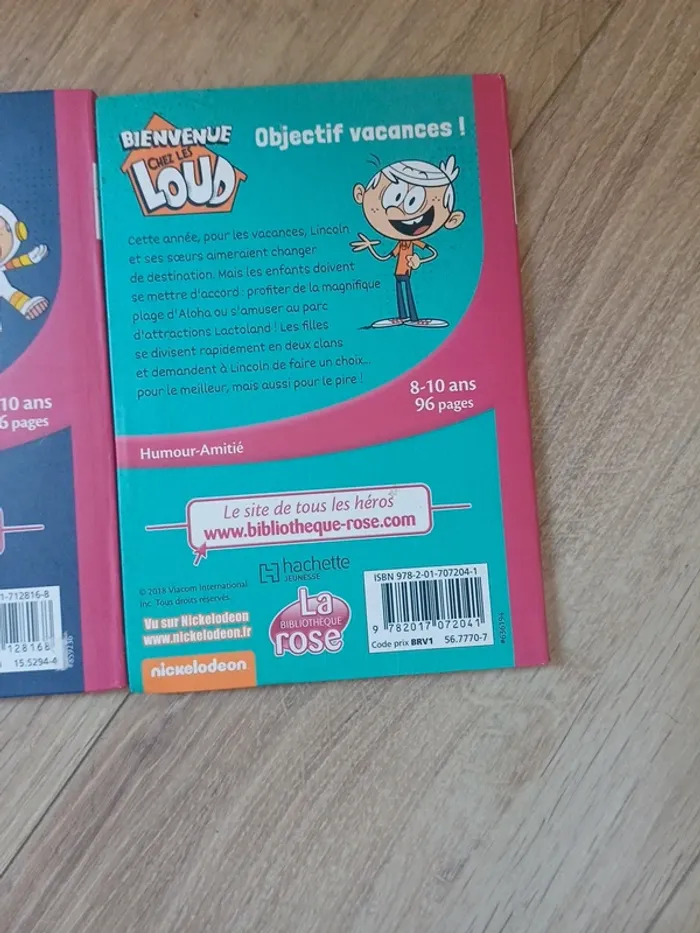 Bienvenue chez les loud - photo numéro 3