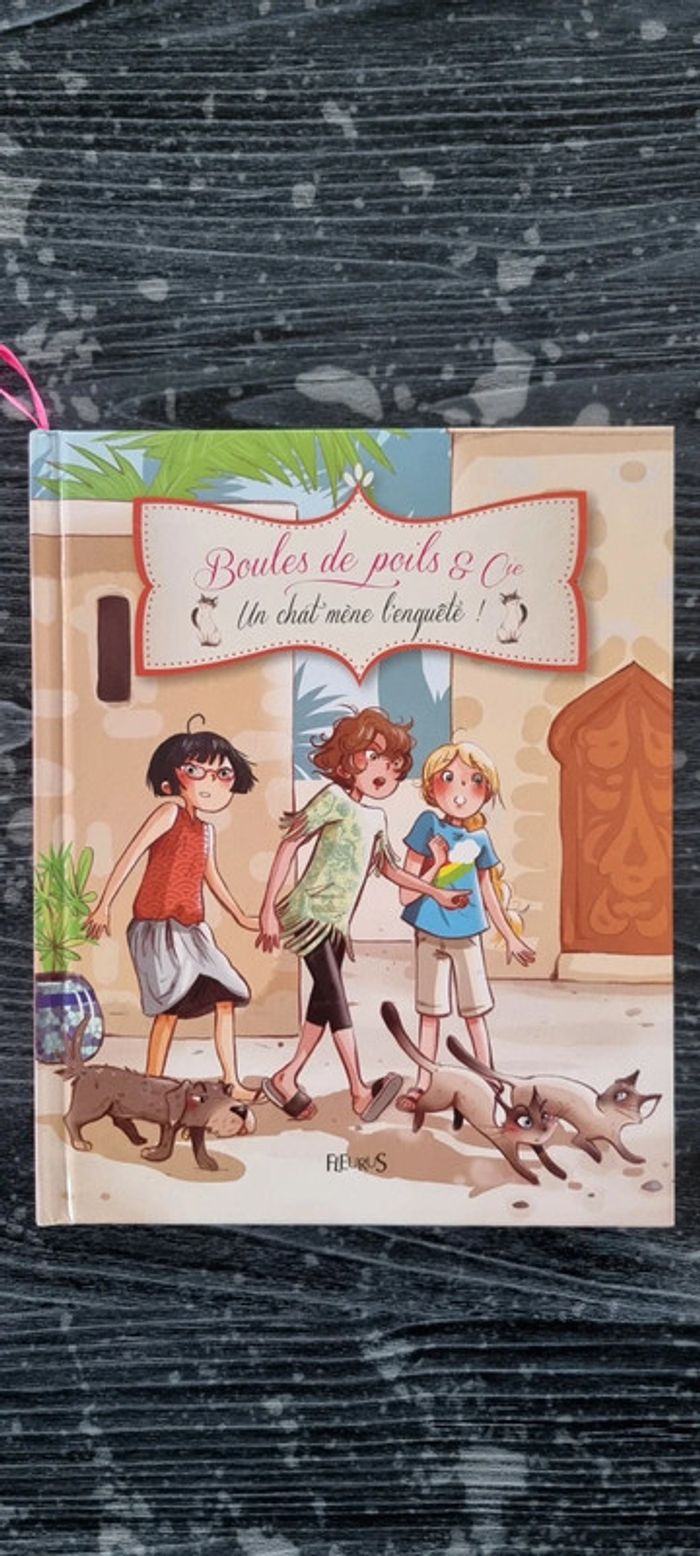 Livre boules de poils et compagnie - photo numéro 3