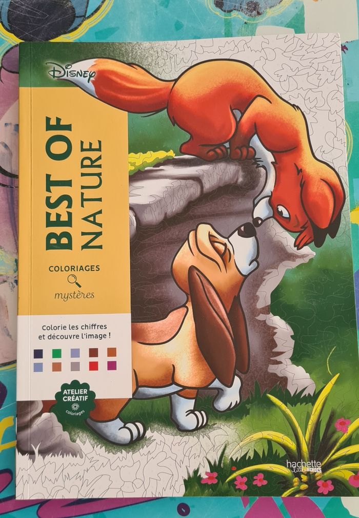 Livre coloriage mystère - photo numéro 1