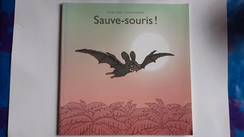 Beau livre grand format Sauve-souris