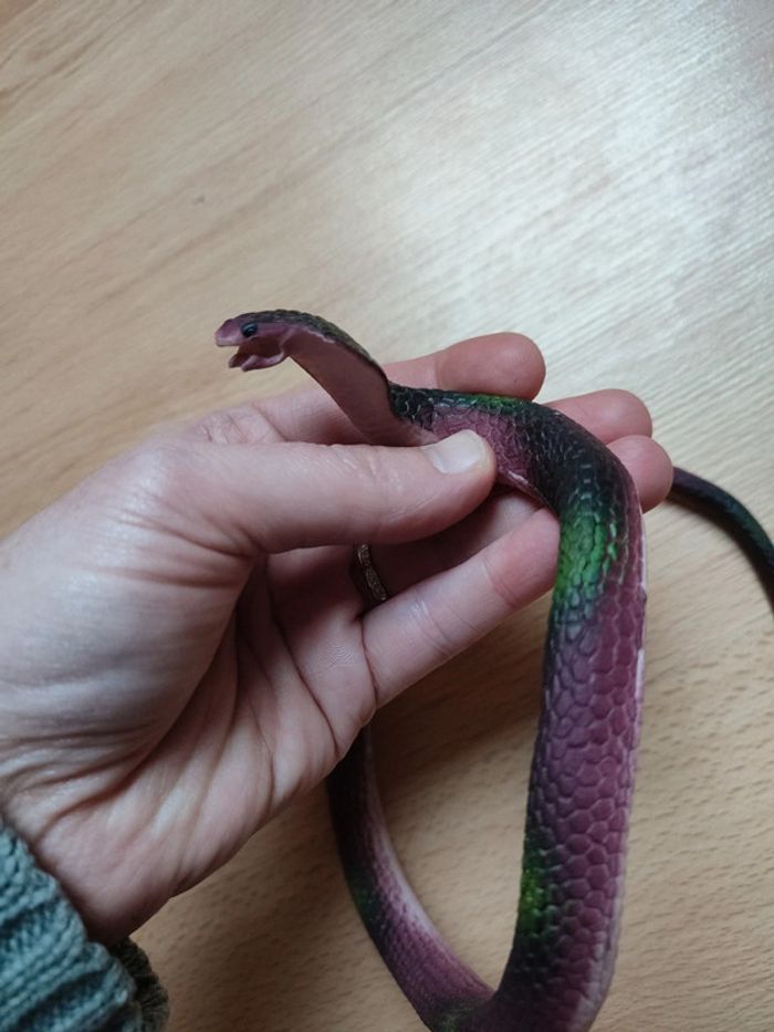 Serpent - photo numéro 2