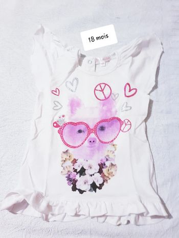T-shirt graine de rêve 18 mois