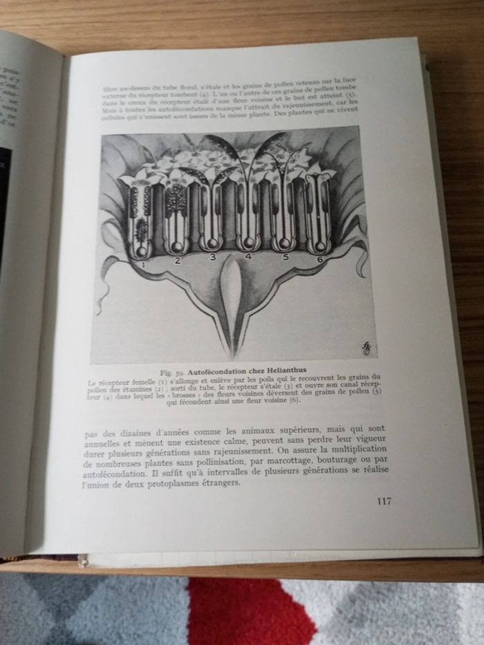 Le livre de la nature tome 2 - photo numéro 4